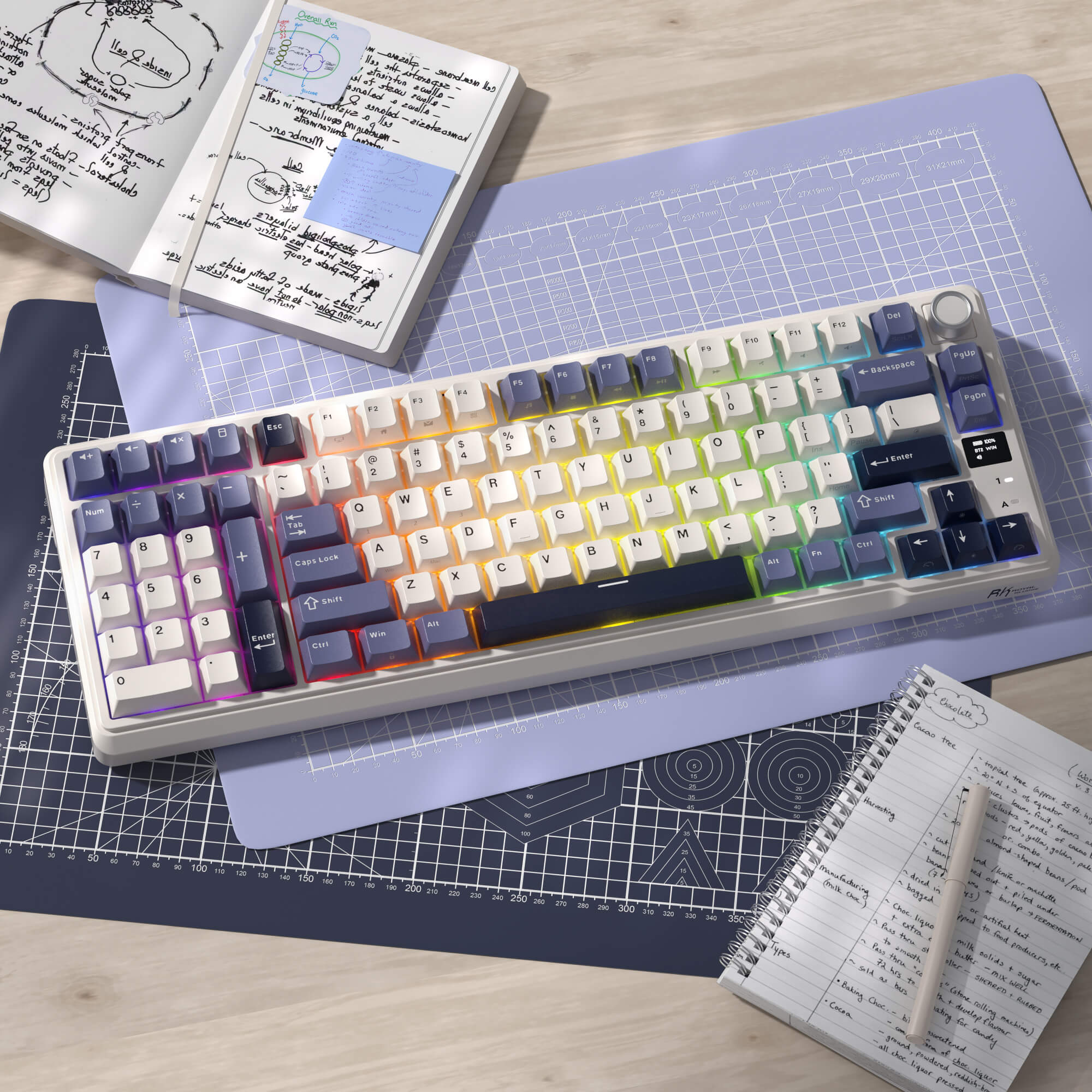 Thumbnail 12